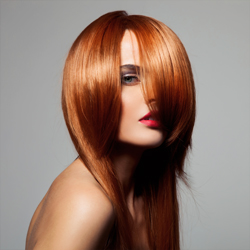 <section>
<p style="text-align: left;">Extraordinarily vibrant, glossy, fade-resistant hair colour. Turn the ordinary into extraordinary with keratin-enriched Keratin Colour. Home Hairdresser is an official wholesale distributor in Australia. Australian Hairdressers, <a href="/login">login</a> or <a href="/register">register</a> for prices.</p>
</section>