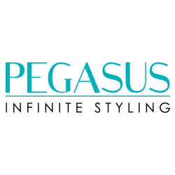 Storming Europe and the USA, <strong>Pegasus</strong> hairdressing combs redefine styling. Combined with revolutionary Flexinite technology, Pegasus is styling at its best. Flexinite Smart Comb Technology creates seamless teeth which are sensitive to changing temperatures, mimicking hair and flexibly moving in response to heat and chemicals. The result? No damage to hair. Find other&nbsp;<a href="/" title="Hair Care Products">Hair Care Products</a> we carry.